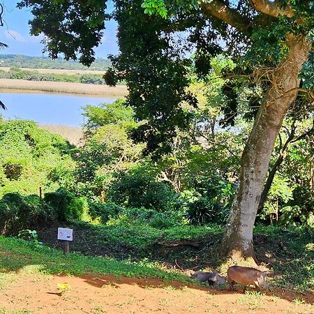 Estuary Views At 6 The Bridge Appartement Saint Lucia Estuary Buitenkant foto